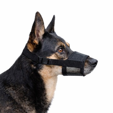 Botnita din nailon pentru caini, ajustabila - XL