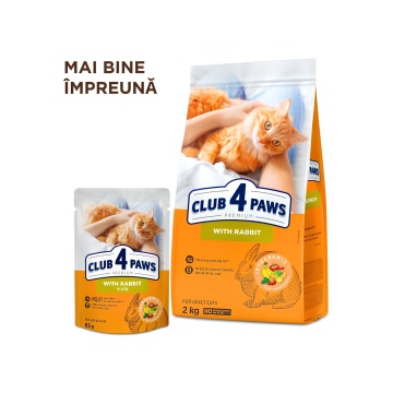 Club 4 Paws Cat - Hrana umeda premium - Iepure in jeleu - 85g - Img 5