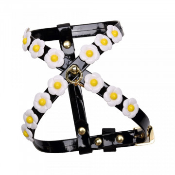 Ham Daisy - XXS - Negru