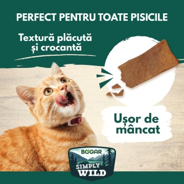 Recompense pentru pisici - Bogar Simply Wild - Chips - Pui - 50 g - Img 2