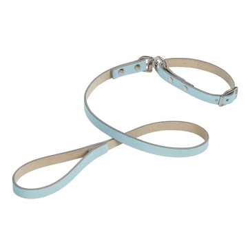 Set - Lesa + Zgarda piele Pastel - 10mm x 1m x 26-32 cm