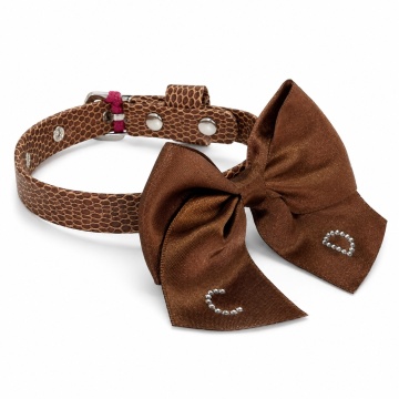 Zgarda Cleo Plus - Iguana Brown - 25cm