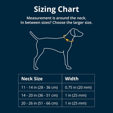 Zgarda Front Range Ruffwear - S - Pink Rose - Img 4