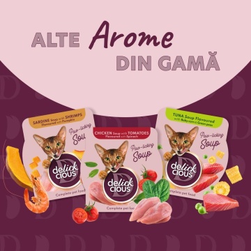 Delickcious Cat - Supa de Pui cu Sunca si Spanac - 80g - Img 5