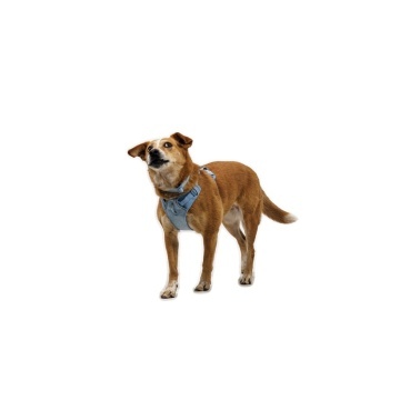 Ham Front Range Flex Ruffwear - M - Polar Blue - Img 8
