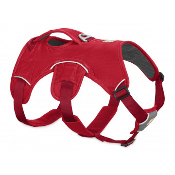 Ham Web Master Ruffwear -XXS - Red Currant