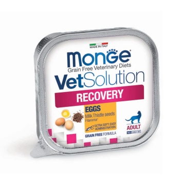 Monge VetSolution Recovery Feline - 100g