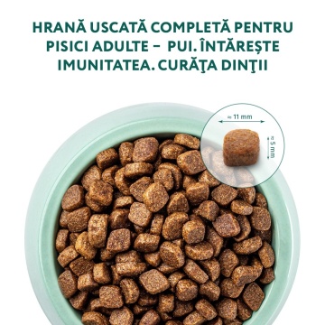 Optimeal Cat - Hrana uscata super-premium - Pui - 1.5kg - Img 3