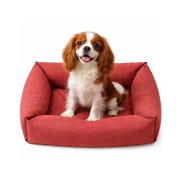 Patut pentru caini si pisici - Mono - Rosu - 50x35x14cm