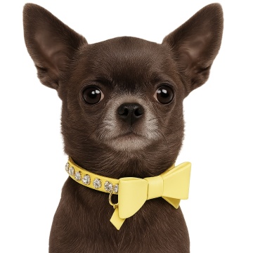 Zgarda Lizzy Plus - 25cm - Galben