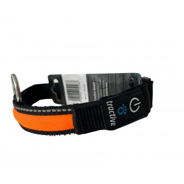 Zgarda nylon cu led - Portocaliu - S