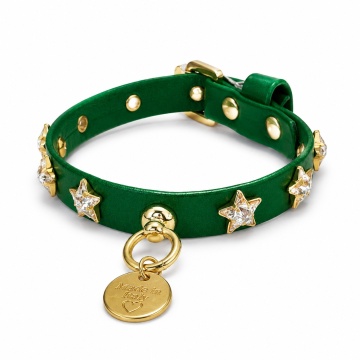 Zgarda Only For Star - 25cm - Verde