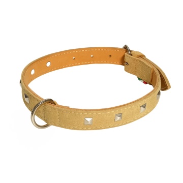 Zgarda piele, tinte - 55cm - Bej