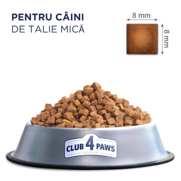 Club 4 Paws Adult Mini - Hrana uscata premium - Pui - 400g - Img 3