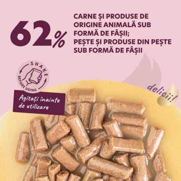 Delickcious Cat - Fasii de Somon & Branza in Supa Cremoasa - 85g - Img 2