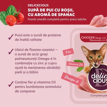 Delickcious Cat - Supa de Pui cu Rosii si Spanac - 80g - Img 4