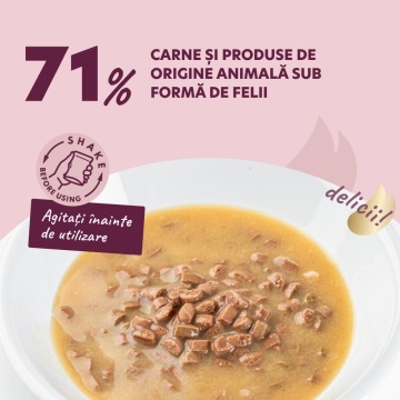 Delickcious Dog - Fulgi de Curcan & Fructe Tropicale in Sos Cremos - 80g - Img 3