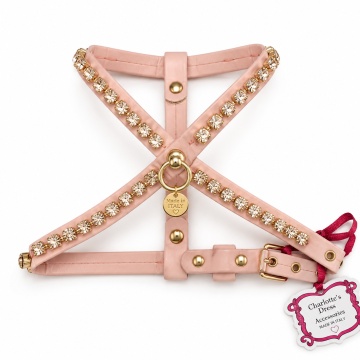 Ham Charlotte's Dress - Lory - XXS