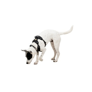 Ham Front Range Flex Ruffwear - M - Basalt Grey - Img 5