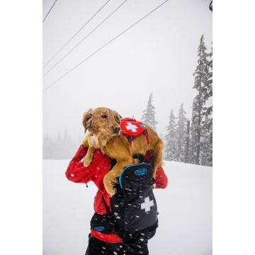 Ham Web Master Ruffwear - M - Red Sumac - Img 1