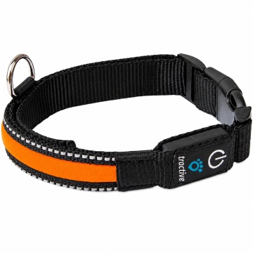Zgarda nylon cu led - Portocaliu - S