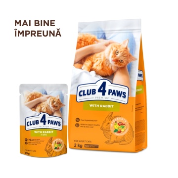 Club 4 Paws Cat - Hrana umeda premium - Iepure in jeleu - 85g - Img 6