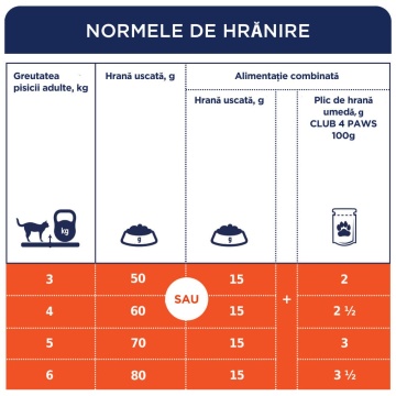 Club 4 Paws Cat - Hrana uscata premium - Pui - 300g - Img 2