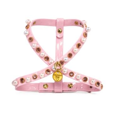 Ham - Charlotte's Dress - Baby Rose - Jadine - XXS