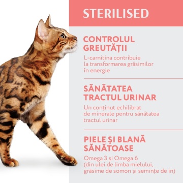 Optimeal Cat Sterilised - Hrana uscata super-premium - Vita si Sorg - 1.5kg - Img 4