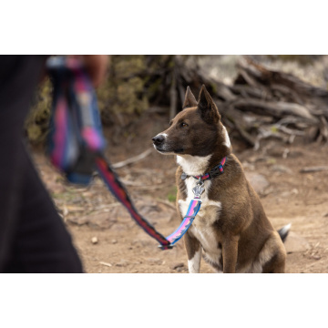 Pachet Lesa + Zgarda Crag Ruffwear Alpine Dusk - Img 2