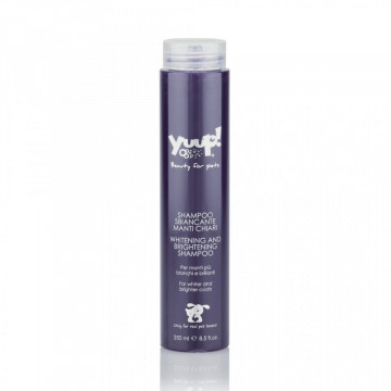 Sampon Yuup Home White - 250ml