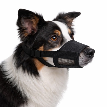 Botnita din nailon pentru caini, ajustabila - L