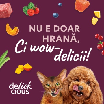 Delickcious Cat - Felii de Rata, Pui & Spanac in Sos - 85g - Img 5