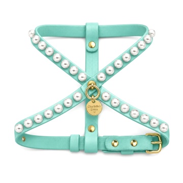 Ham - Charlotte's Dress - Titti - Tiffany - XXS