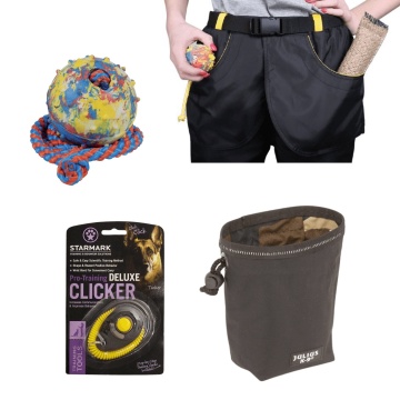 Pachet dresaj profesional - Basic