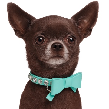 Zgarda Lizzy Plus 20cm - Tiffany