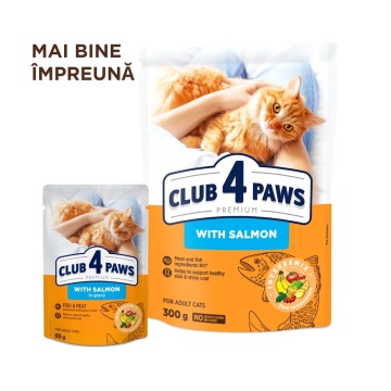 Club 4 Paws Cat - Hrana umeda premium - Somon in Jeleu - 85g - Img 4
