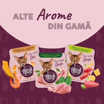 Delickcious Cat - Supa de Pui cu Rosii si Spanac - 80g - Img 5