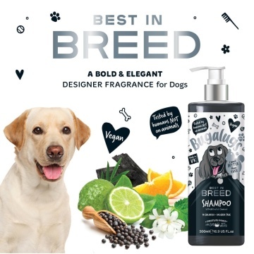 Sampon Bugalugs Best in Breed - 250 ml - Img 3