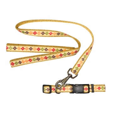 Set zgarda si lesa - 1.5cm - Fashion