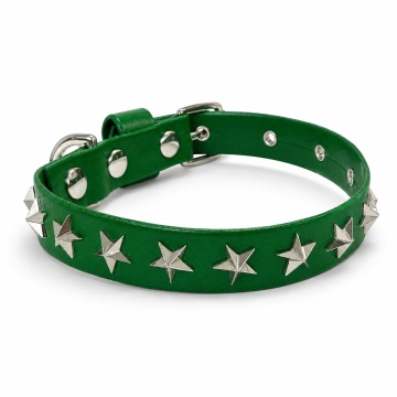 Zgarda Ministar - Verde - 40cm