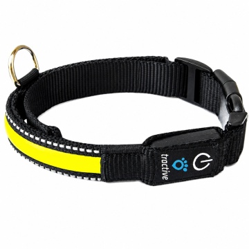 Zgarda nylon cu led - Galben - S