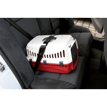 Cusca transport plastic - Bordo - 45 x 30 x 30 cm - Bordo - Img 5