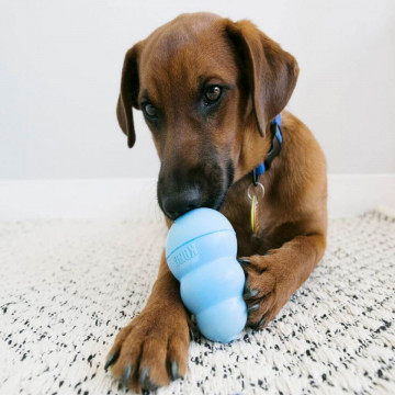 Jucarie Kong - M (Puppy - 9cm) - Img 2