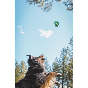 Jucarie Ruffwear Toadstool - Gray Sky - Img 2