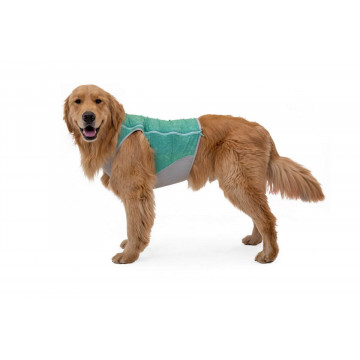 Vesta racire Swamp Cooler Ruffwear - M - Blue Mist - Img 3