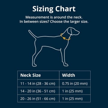 Zgarda Front Range Ruffwear - L - Pink Rose - Img 4
