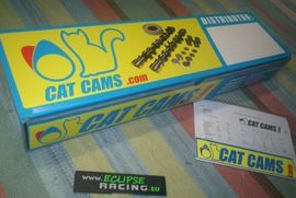 Alberi a camme Catcams Clio RS 172 o 182