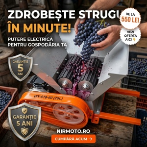 Zdrobitor electric pentru struguri 20L cuva, motor electric 750W