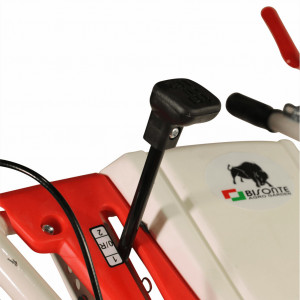 Motocultor Bisonte BTA-1000FC, 7 CP benzina, 3 viteze + accesorii (Pachet 1)